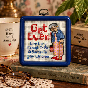 Vtg Cross Stitch Get Even Live Long Enough Burden Your Children Funny Grandma
